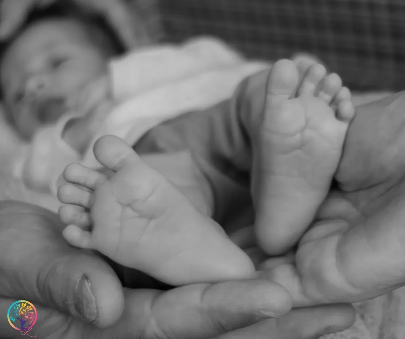 Schwarz-Weiß-Foto: Babyfüße in den Händen der Eltern